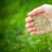 seedingmyseed